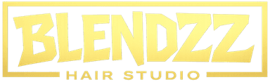 Blendzz logo